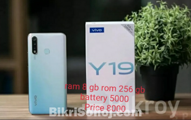 Vivo y19